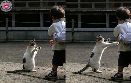 chat vs gam1